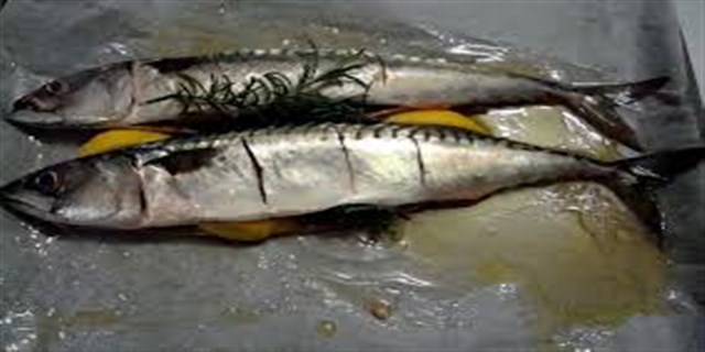Fish and Shellfish