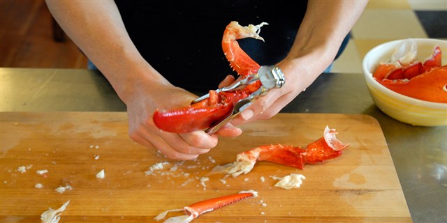Fish and Shellfish